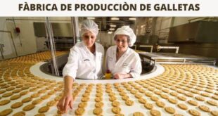EMPACADO DE GALLETAS: Trabaja como empacador de galleta | POSTULA YA