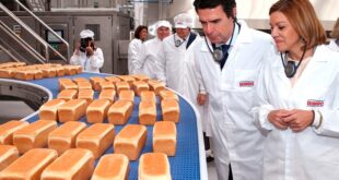 GRUPO BIMBO REQUIERE PERSONAL | +125 PUESTOS DISPONIBLES | 2025 POSTULA YA