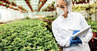 AGRICULTORES SOLICITAN PERSONAL | +100 PUESTOS DE TRABAJO | CON Y SIN EXPERIENCIA